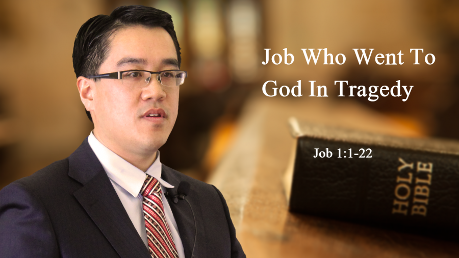 Job who went to God in tragedy