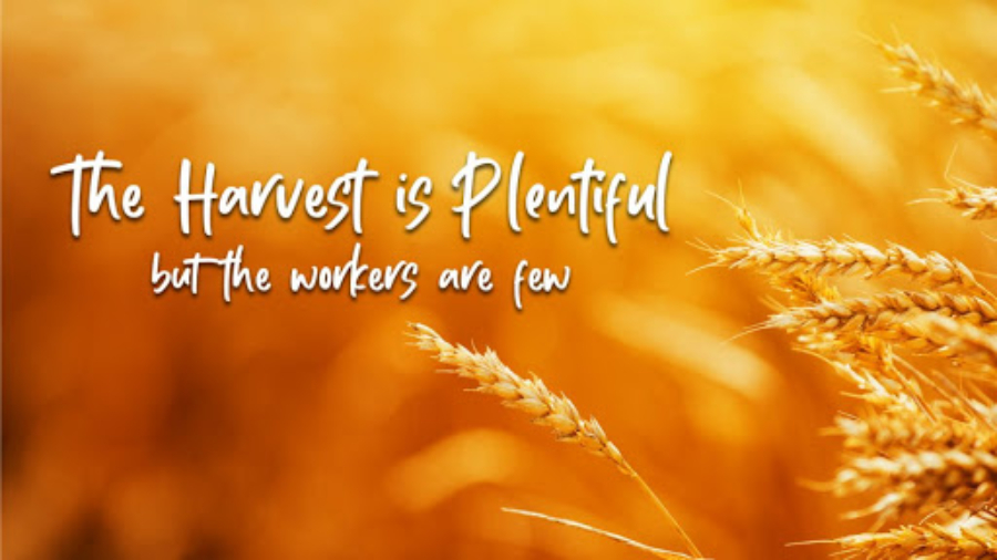 the-harvest-is-plentiful-but-the-workers-are-few-