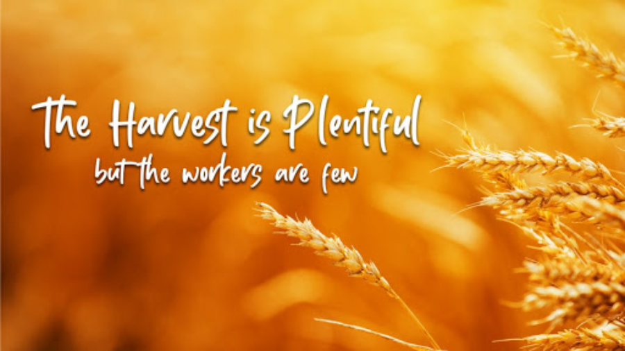 harvest-is-plentiful-but-workers-are-few-gratia-community-church